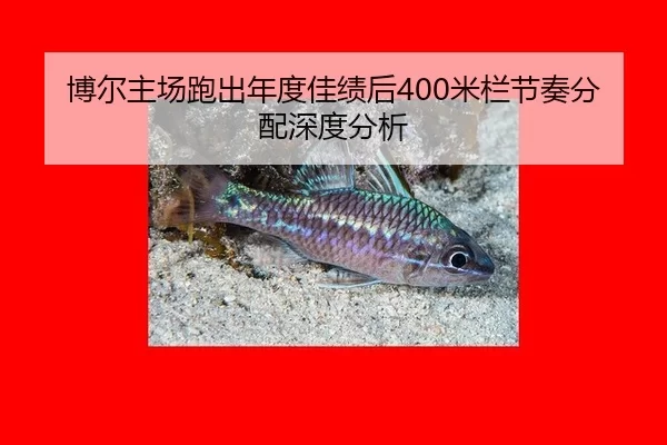 博尔主场跑出年度佳绩后400米栏节奏分配深度分析